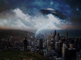 Kit Kat Double Act, My Life as Splactor