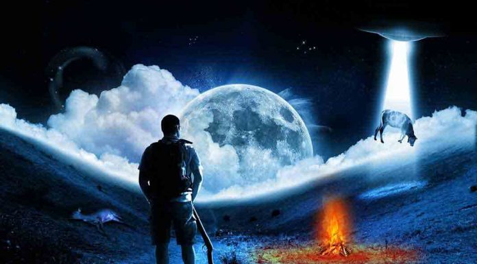 Theta Realms Feature: Lucid Dream Portal